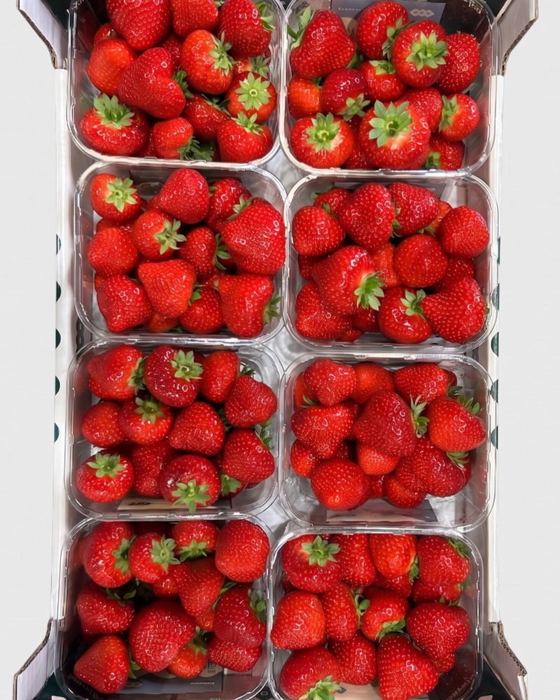 Fraise 500g