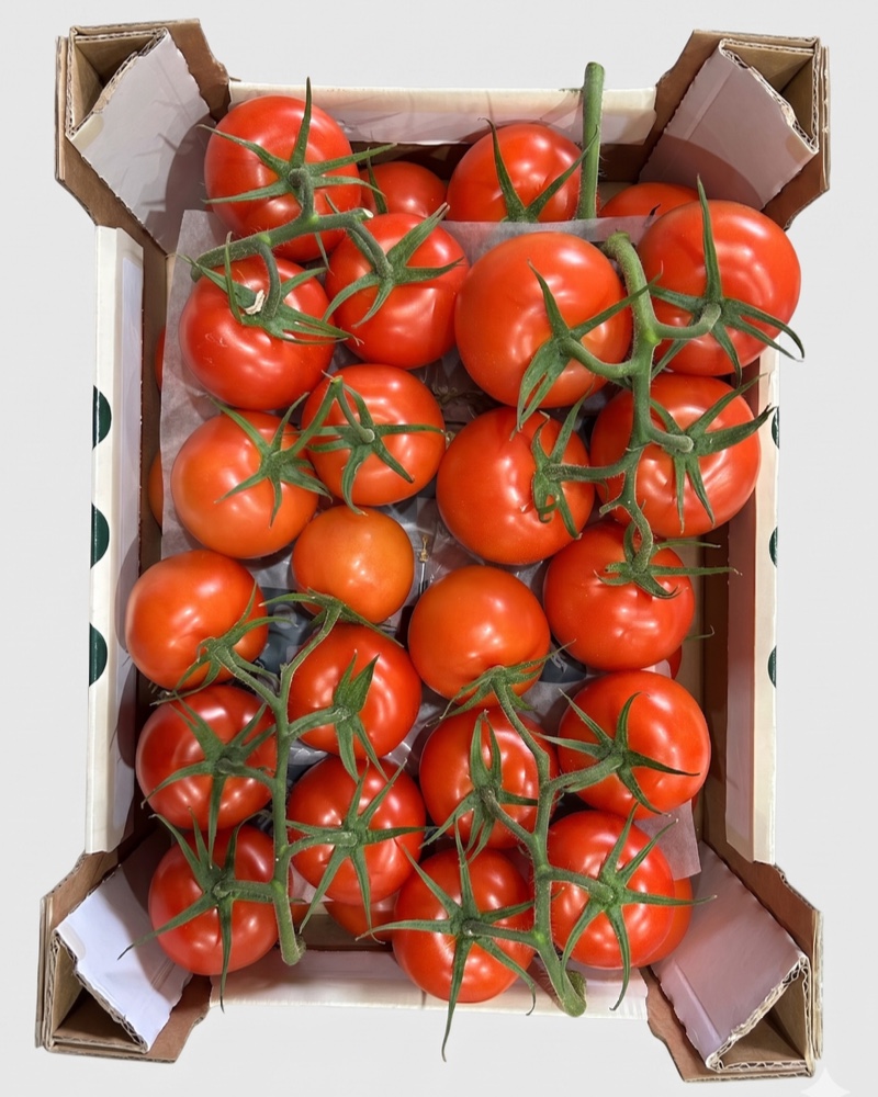 Tomate 5kg
