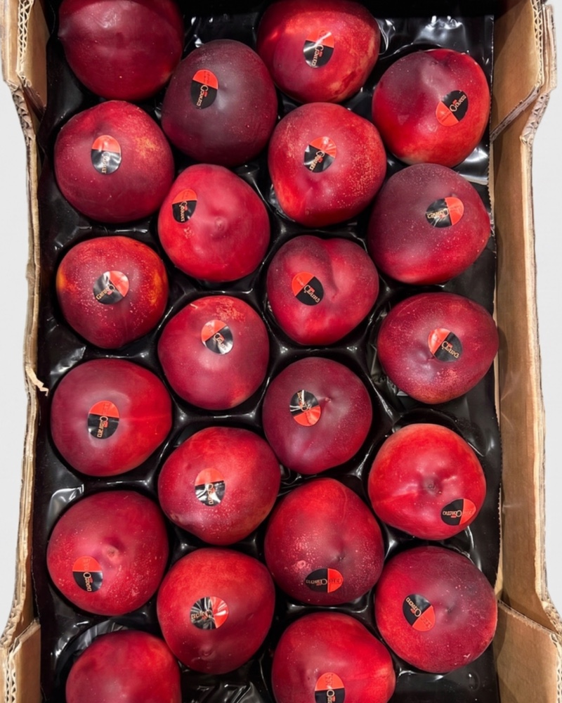 Nectarine chair blanche 4kg