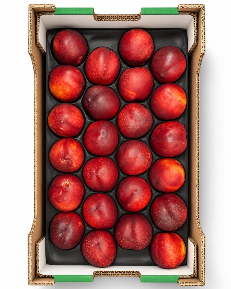 Nectarine chair jaune 4kg