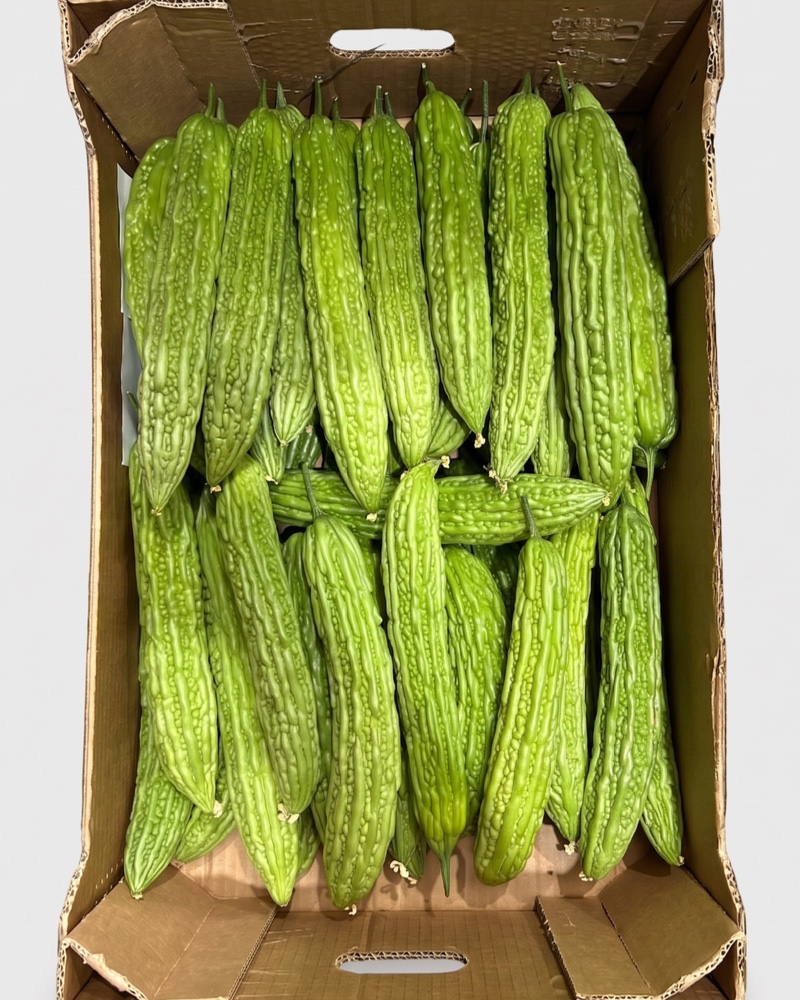 Concombre amer 8kg