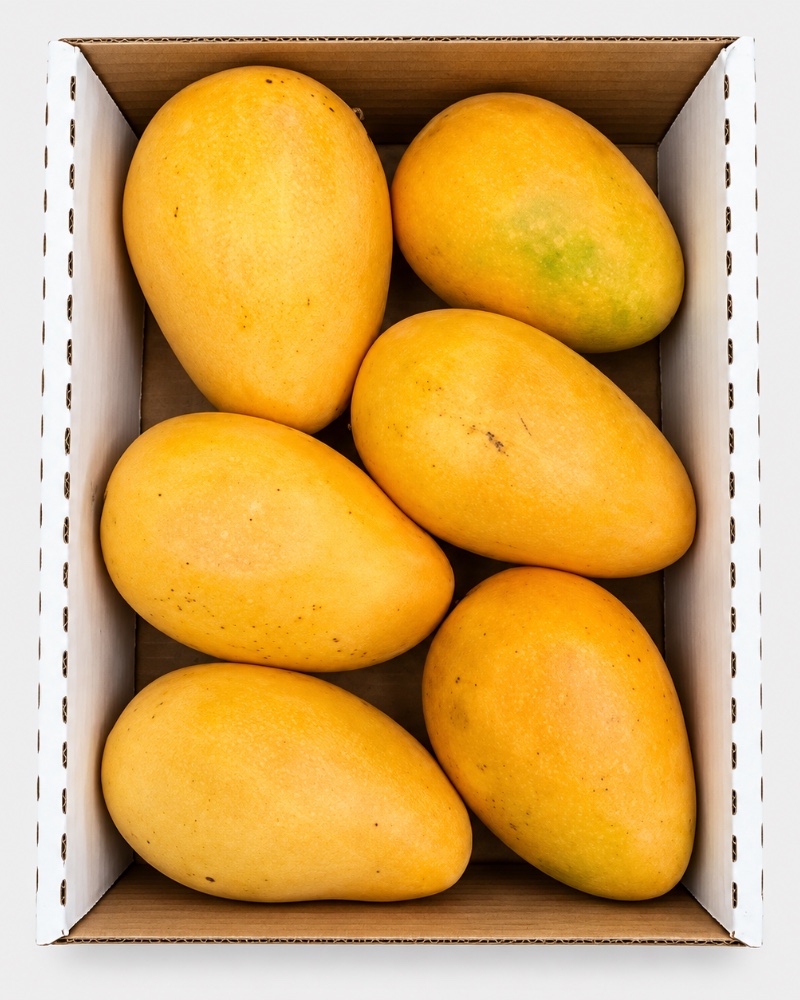 Mangue