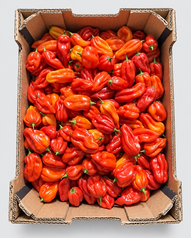Piment rouge