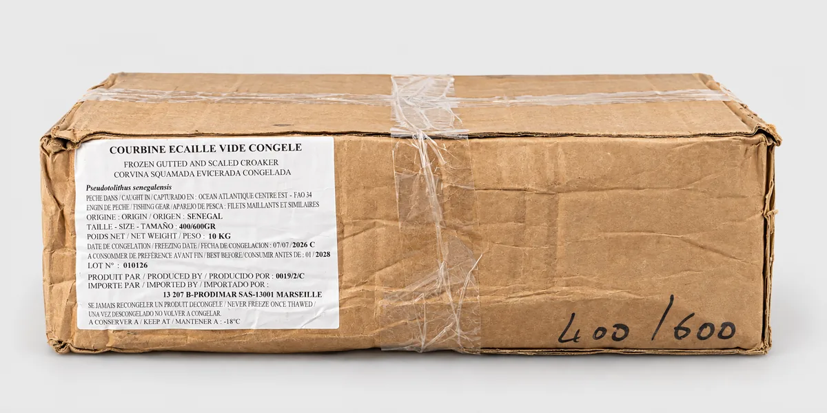 Courbine écaillée vidée congelée 400/600